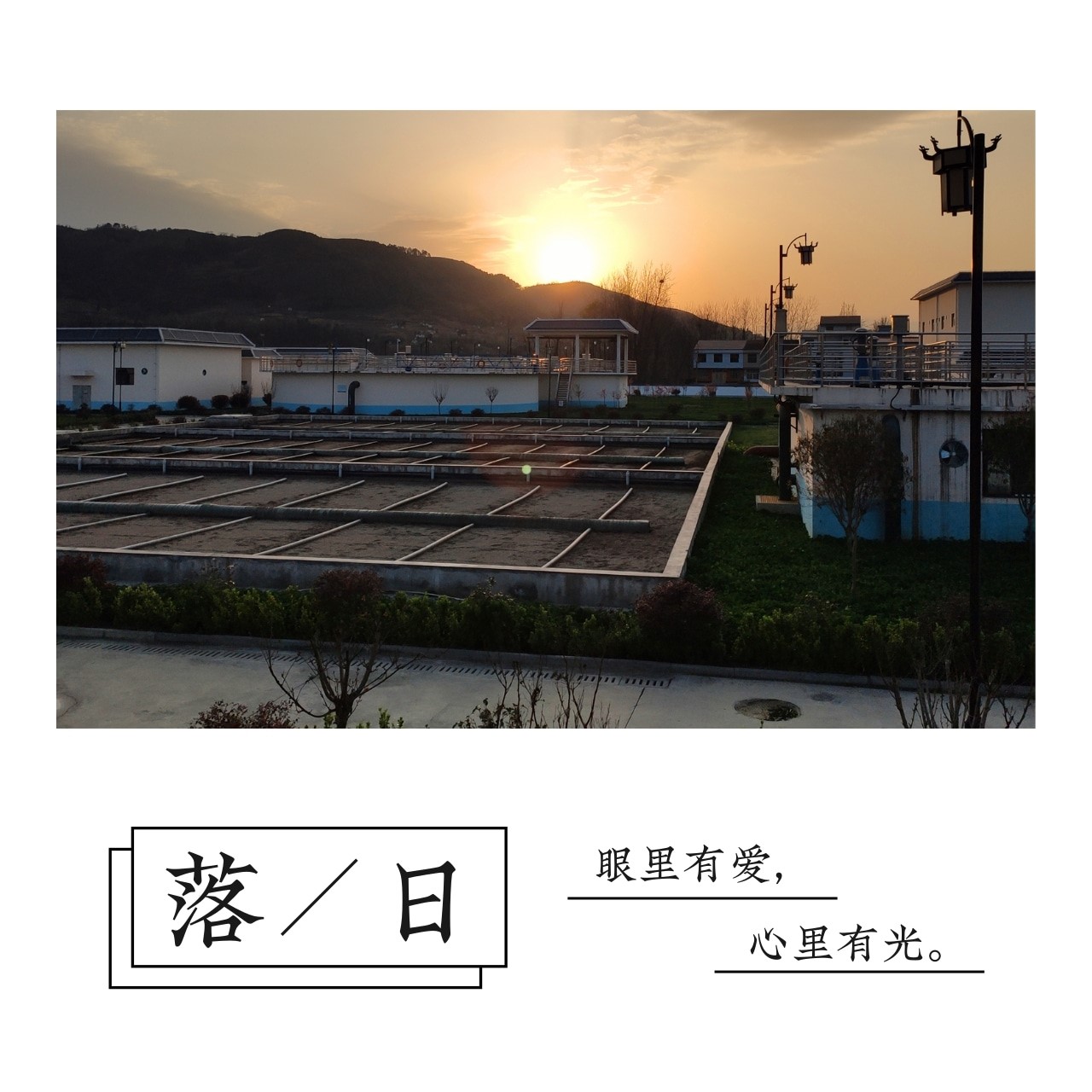 “绿满厂区春意浓”摄影作品征集活动部分作品展示(一) “绿满厂区春意浓”摄影作品征集活动部分作品展示(一)