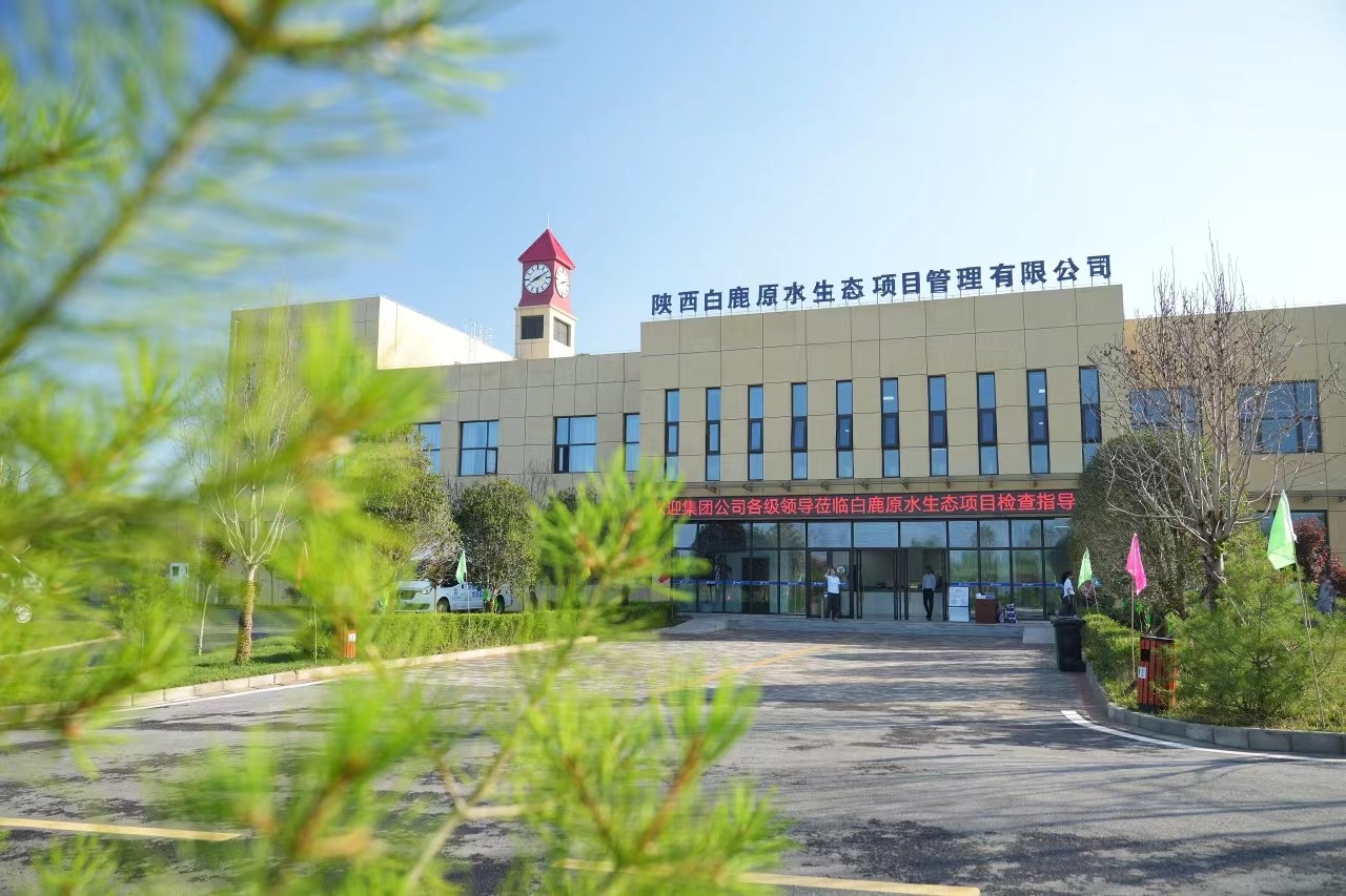 65260042526a7 65260042526a7.jpg